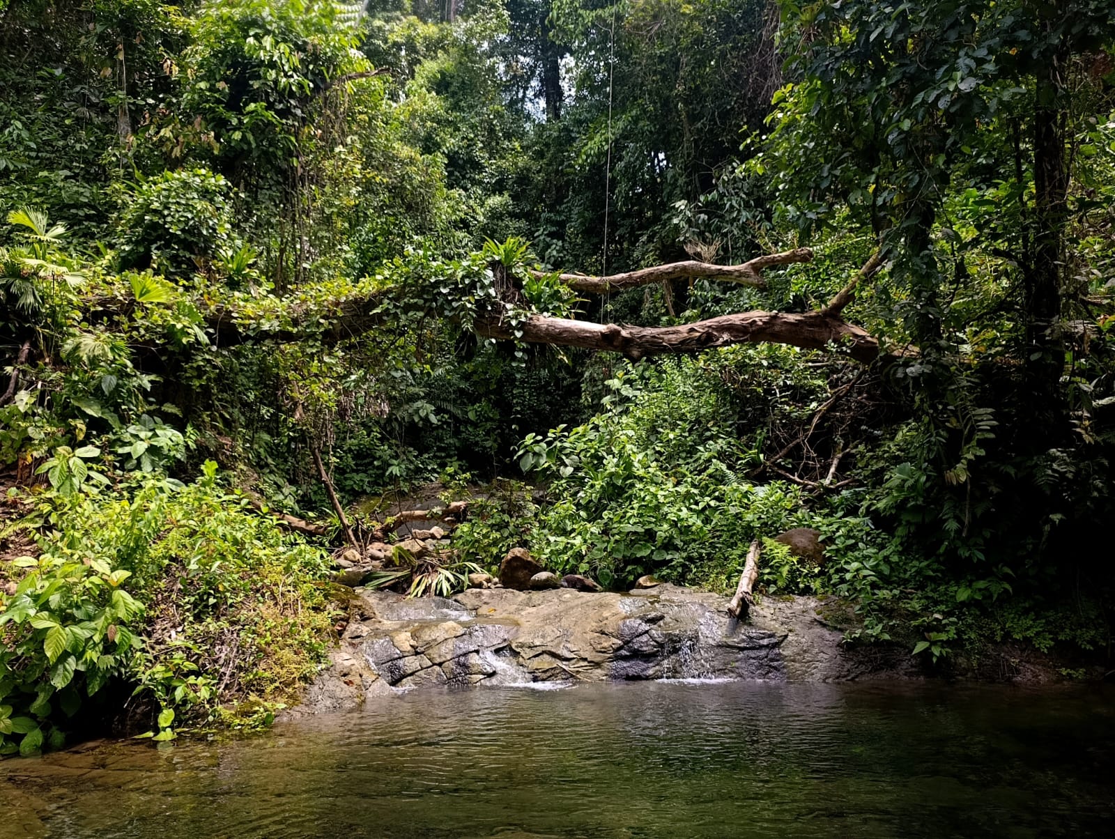 Cascade